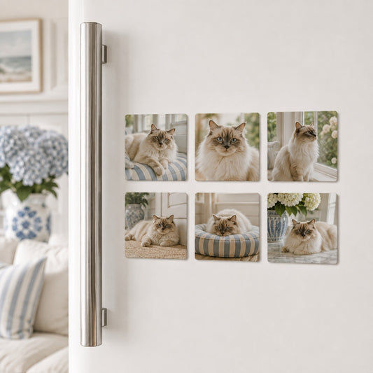 Keepsake Magnetic Photo Tile Set